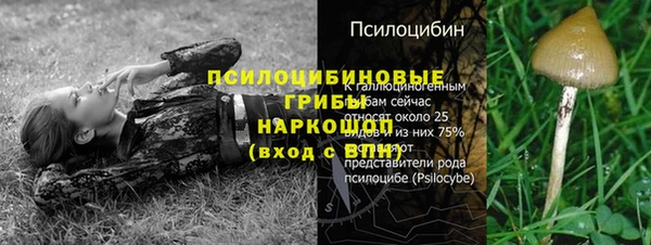 гидра Алзамай