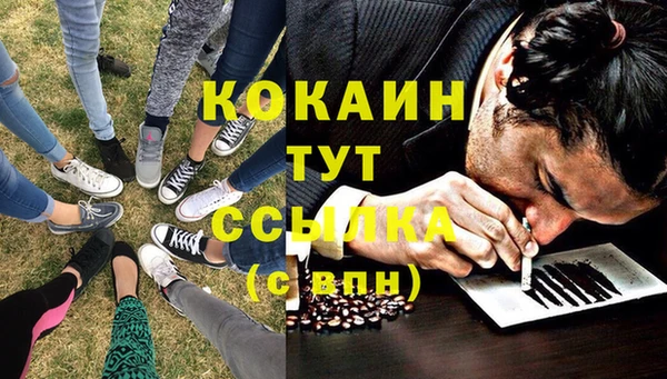 спайс Алексин
